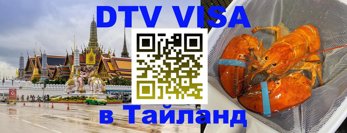 Оформление DTV визы под ключ: стоимость и тарифы, только загранпаспорт - 